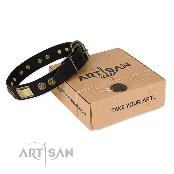 Durable hardware on full grain leather dog collar for stylish walking