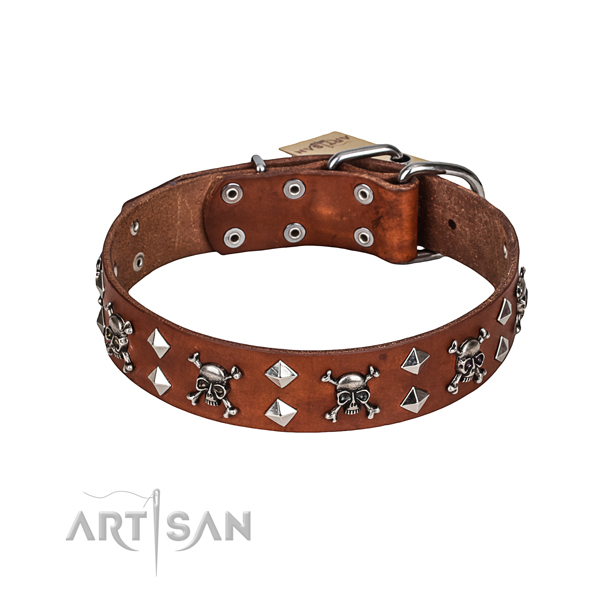 Easy wearing dog collar of quality leather with embellishments