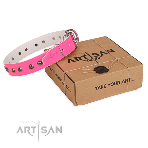 Daily use dog collar with Fashionable corrosion resistant adornments