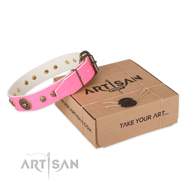 Rust resistant buckle on leather dog collar for daily walking