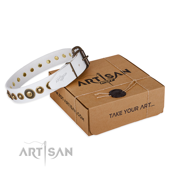 Flexible full grain leather dog collar crafted for easy wearing