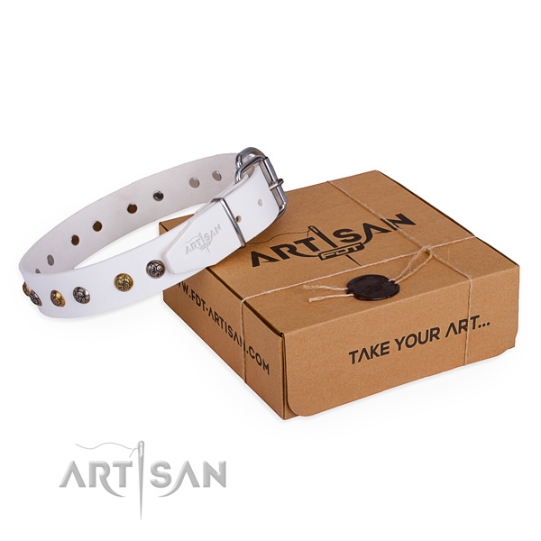 Daily use dog collar with Exquisite strong decorations
