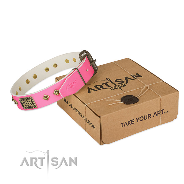 Strong buckle on dog collar for basic training