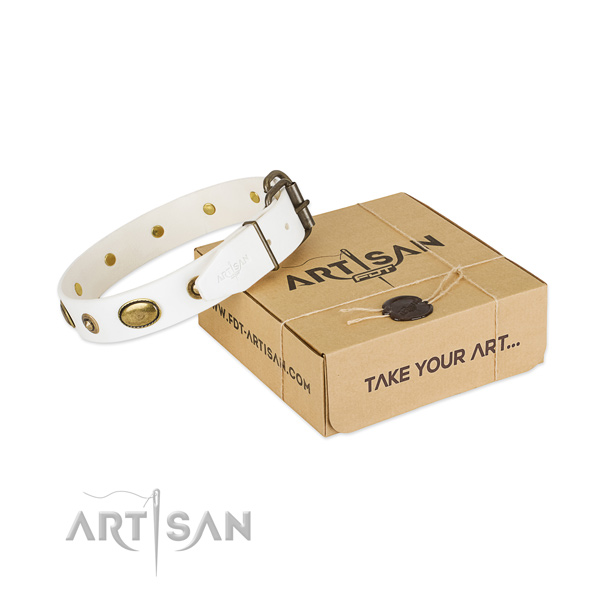 Fine quality full grain natural leather collar for your beautiful pet