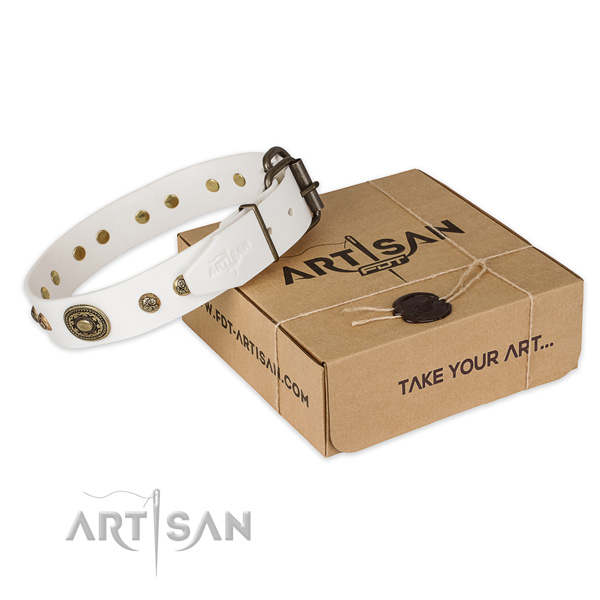 Corrosion proof fittings on leather dog collar for daily use