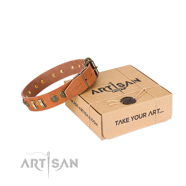 Rust resistant decorations on genuine leather dog collar for your doggie