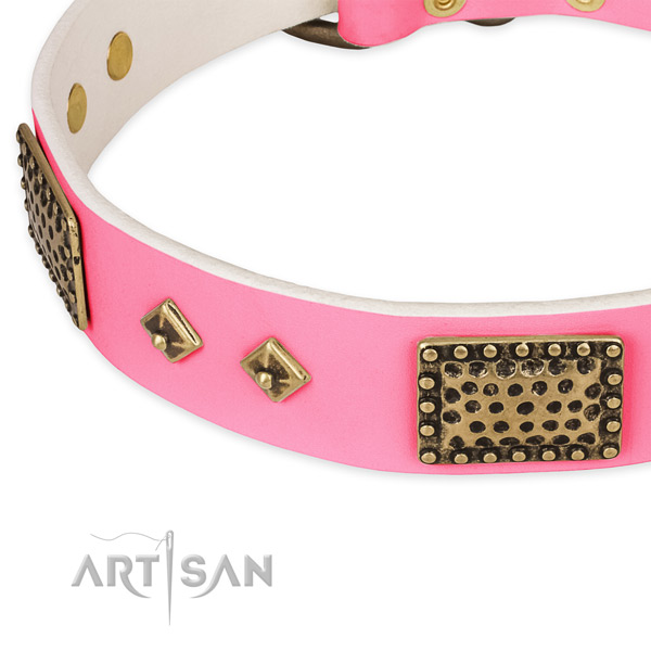 Full grain leather dog collar with embellishments for everyday walking