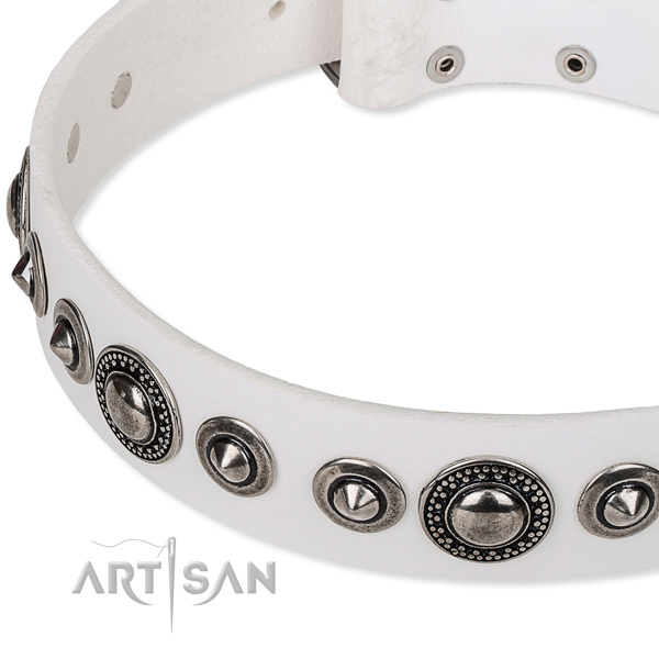 Fancy walking embellished dog collar of best quality full grain genuine leather