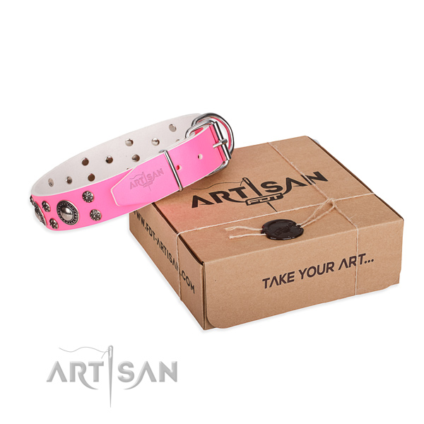 Walking dog collar of top notch full grain natural leather with decorations