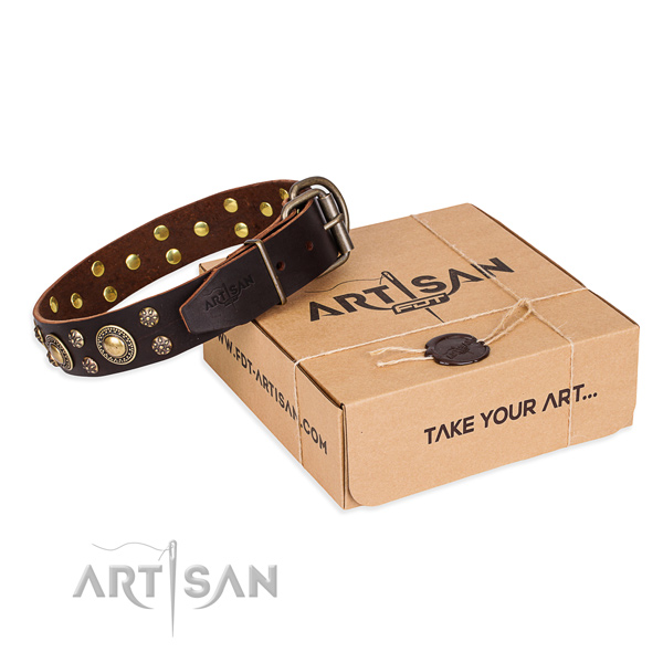 Daily use dog collar of top notch leather with embellishments