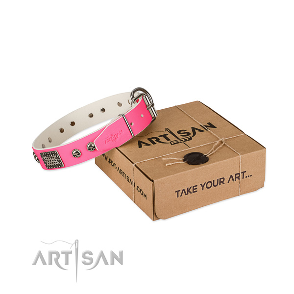 Corrosion proof fittings on dog collar for daily use
