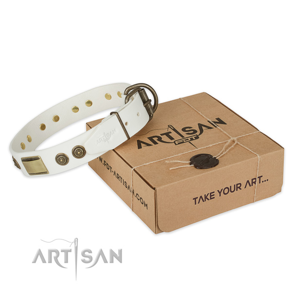 Reliable D-ring on full grain natural leather dog collar for walking