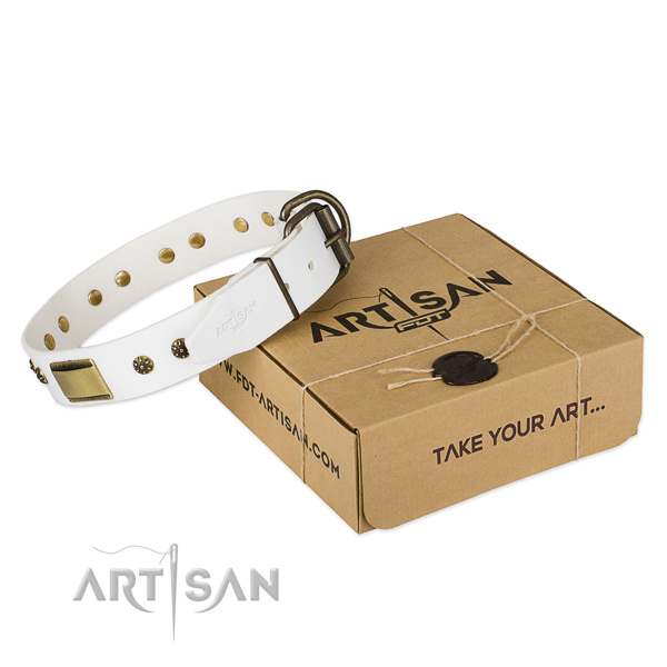 Awesome full grain genuine leather collar for your beautiful doggie