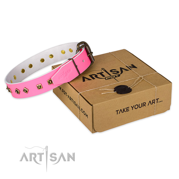 Rust resistant buckle on natural leather dog collar for basic training