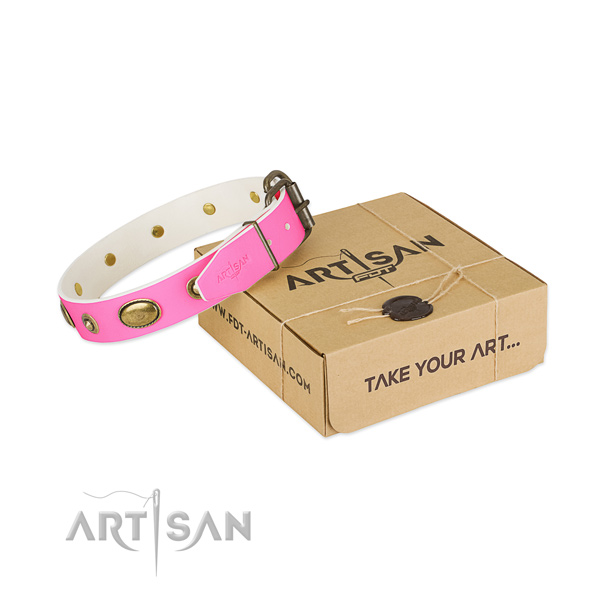 Significant natural leather collar for your handsome four-legged friend