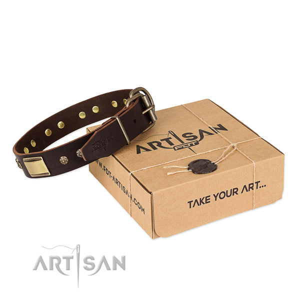 Handcrafted leather collar for your attractive four-legged friend