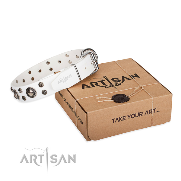 Stylish walking dog collar of durable leather with studs