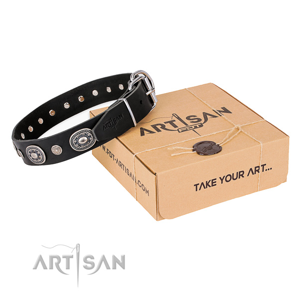 Gentle to touch full grain genuine leather dog collar handcrafted for fancy walking