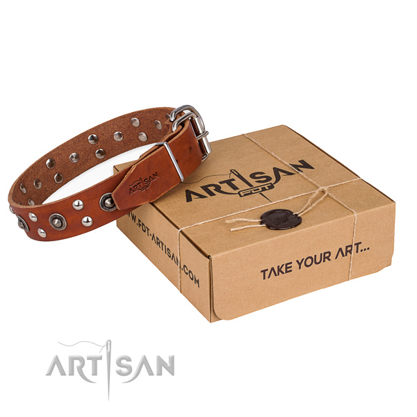 Corrosion proof traditional buckle on genuine leather collar for your impressive pet
