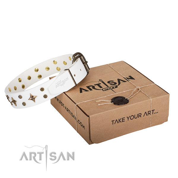 Everyday use dog collar of reliable full grain leather with decorations
