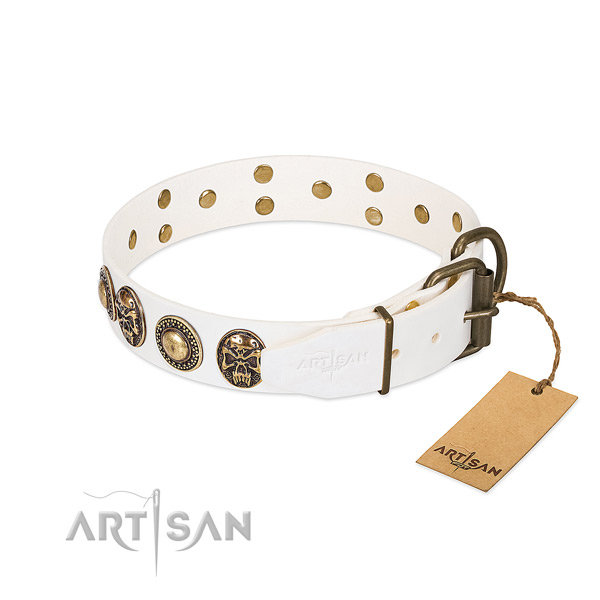 Durable decorations on comfy wearing dog collar
