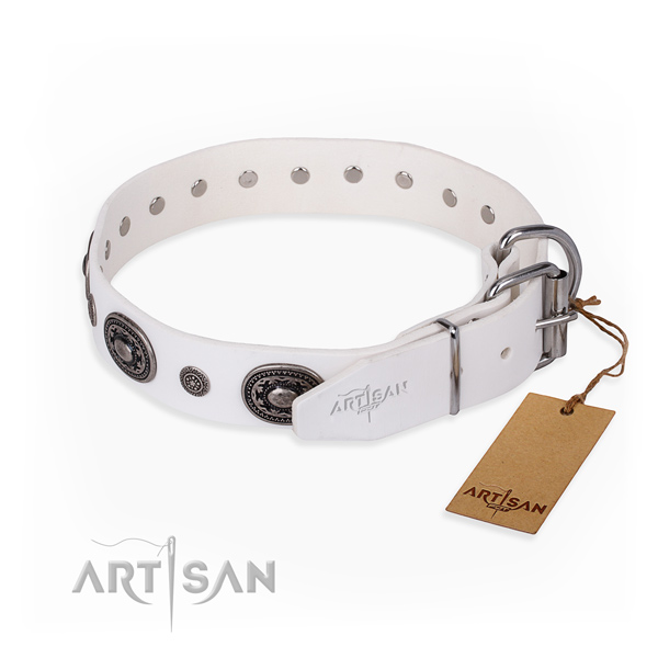 Strong full grain natural leather dog collar crafted for basic training