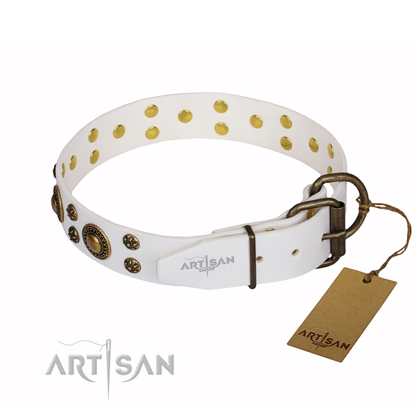 Walking studded dog collar of quality full grain genuine leather