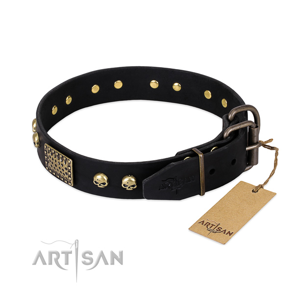 Rust resistant buckle on basic training dog collar