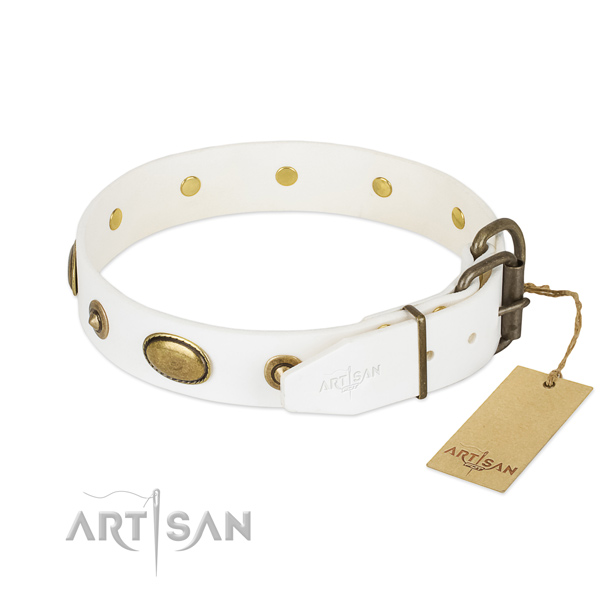Corrosion resistant hardware on natural leather dog collar for your four-legged friend