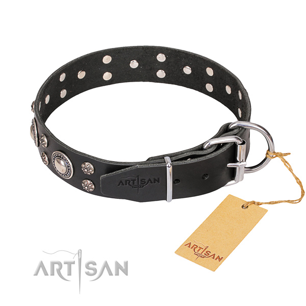 Daily use embellished dog collar of reliable leather