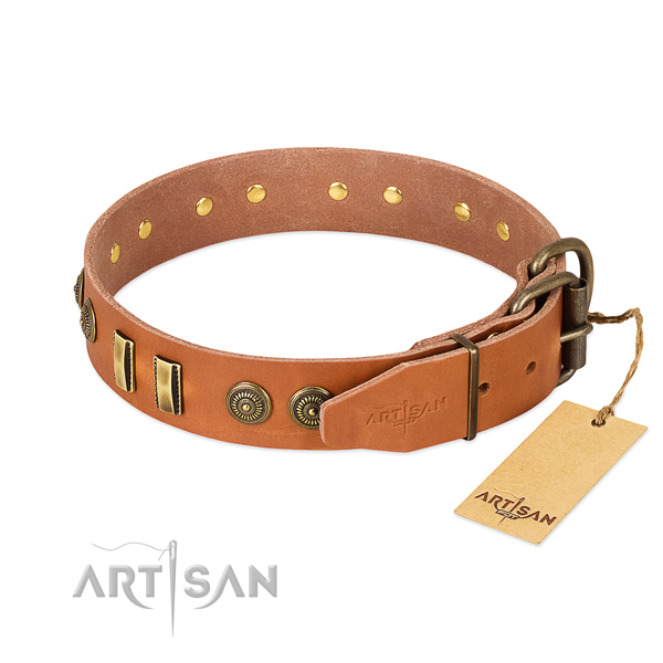 Rust resistant decorations on leather dog collar for your four-legged friend