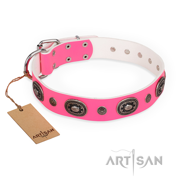 Durable leather dog collar crafted for daily walking