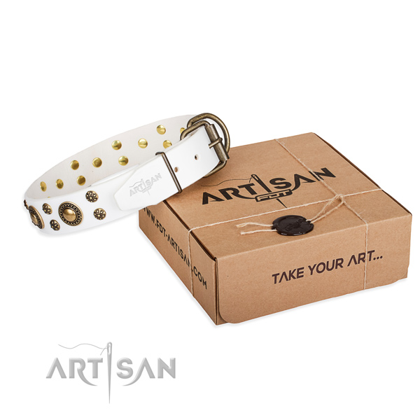 Everyday use dog collar of finest quality full grain leather with studs