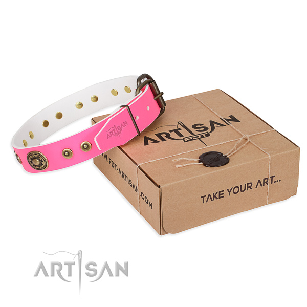 Genuine leather dog collar made of reliable material with rust-proof D-ring