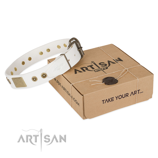 Fashionable full grain genuine leather collar for your attractive four-legged friend