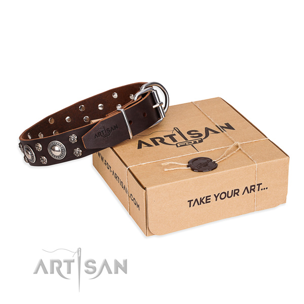 Everyday use dog collar of strong full grain natural leather with adornments