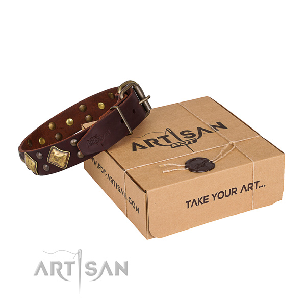 Easy wearing dog collar with Trendy corrosion proof adornments