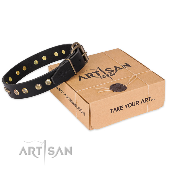 Corrosion proof fittings on full grain genuine leather collar for your stylish dog