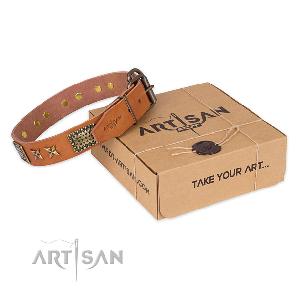 Reliable fittings on full grain natural leather collar for your attractive pet