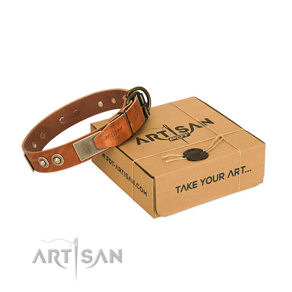 Corrosion proof buckle on dog collar for basic training