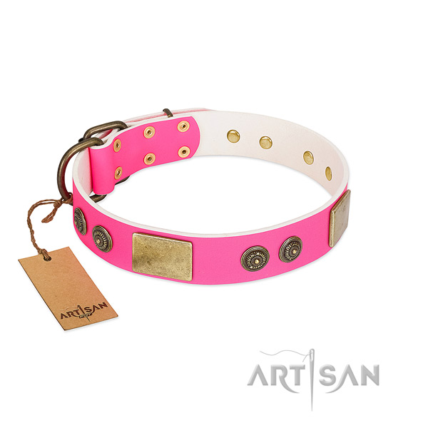Unusual genuine leather dog collar for comfy wearing