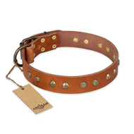 "Spring Flavor" FDT Artisan Adorned Leather Bullmastiff Collar with Old Bronze-Plated Engraved Studs