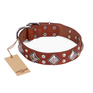 "Magic Squares" FDT Artisan Tan Leather Bullmastiff Collar with Silver-like Decor