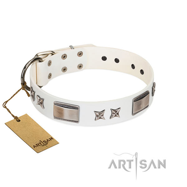 Decorated dog collar of genuine leather