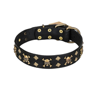 "Jolly Rojer" FDT Artisan Leather Bullmastiff Collar with Pirate Skulls and Studs - 1 1/2 inch (40 mm) wide
