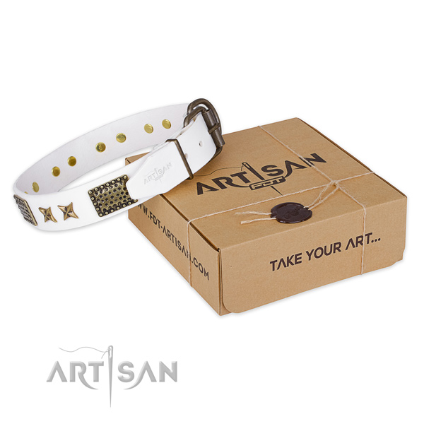 Durable fittings on full grain leather collar for your stylish pet