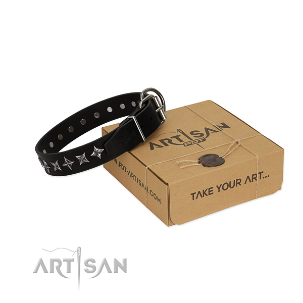 Everyday use dog collar of strong genuine leather with studs