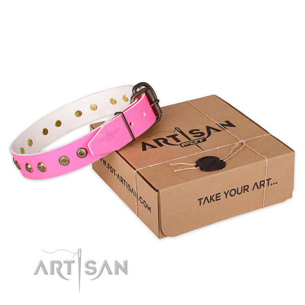Reliable fittings on leather collar for your impressive doggie