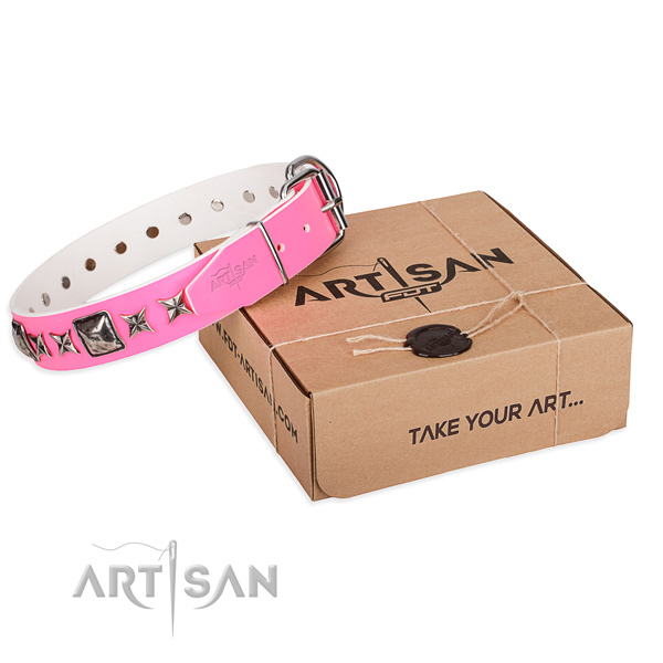 Walking full grain leather dog collar with embellishments