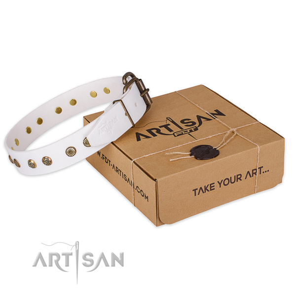 Corrosion resistant traditional buckle on full grain genuine leather collar for your beautiful canine